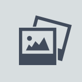 要賺錢你就得像個(gè)SB似得